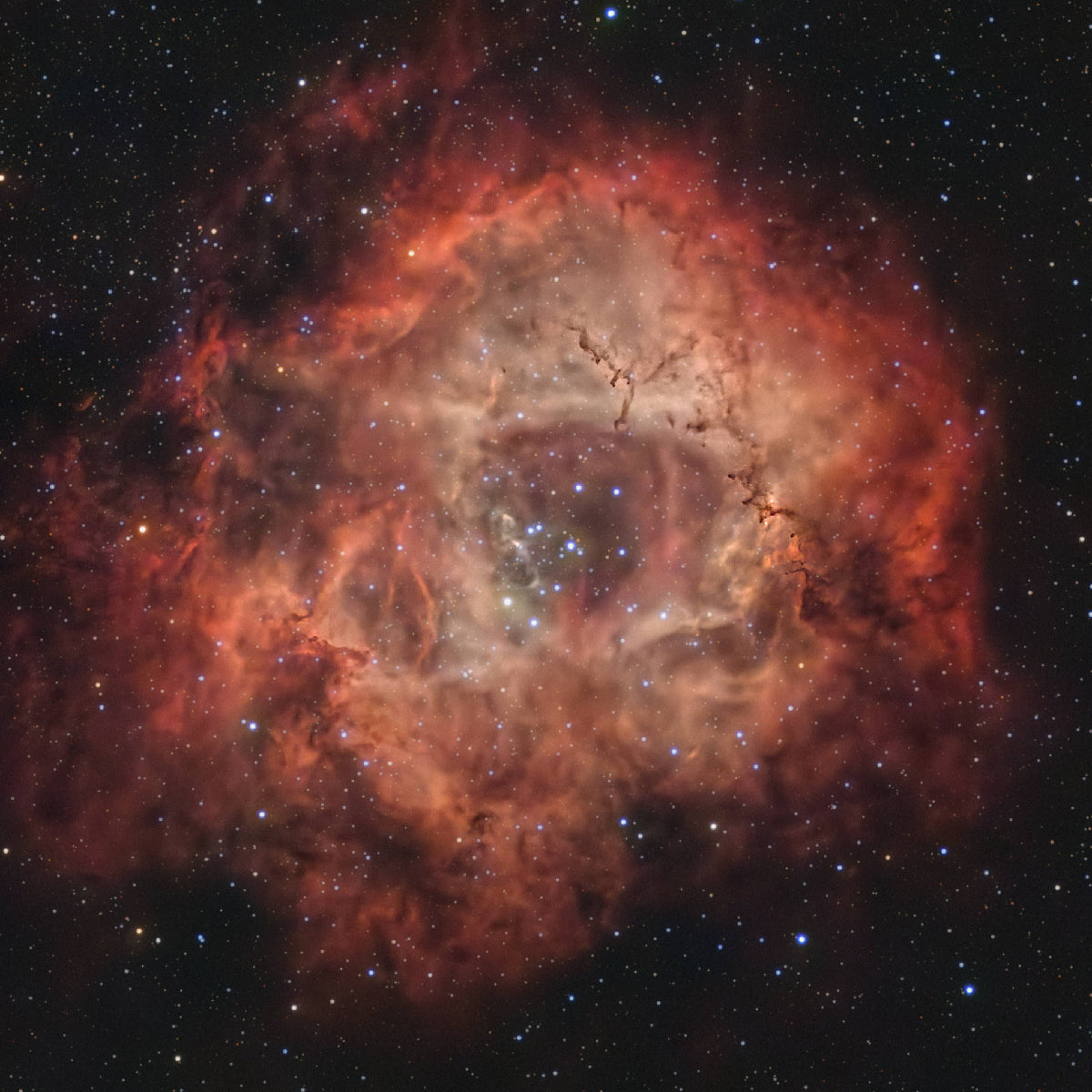 Improve your astrophotography: mastering filters for nebulae