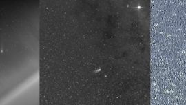Tales (Tails?) of Comet Leonard… as Seen From Space