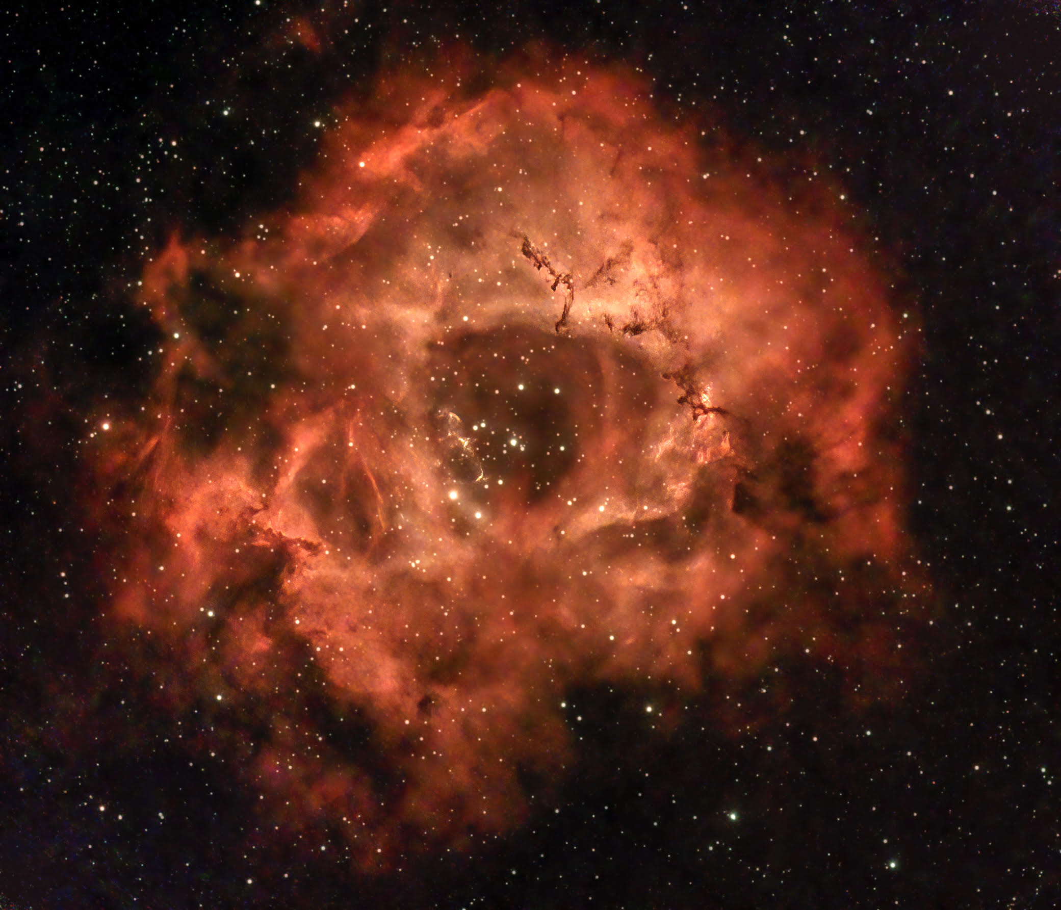 NGC 2237 Rosette Nebula*