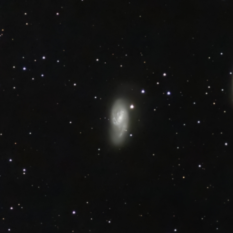 M66 – Spiral Galaxy