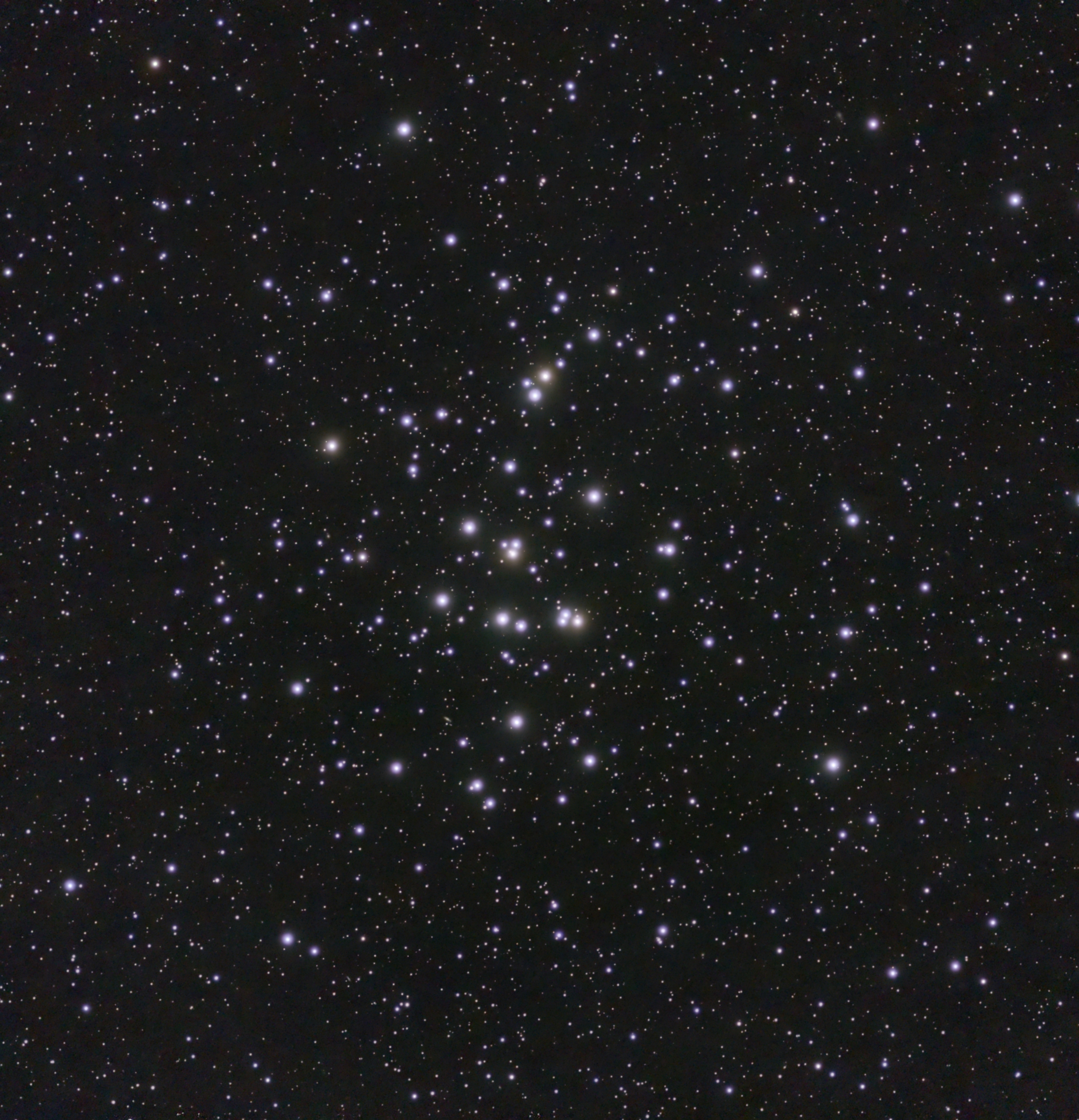 M44 – Beehive Cluster