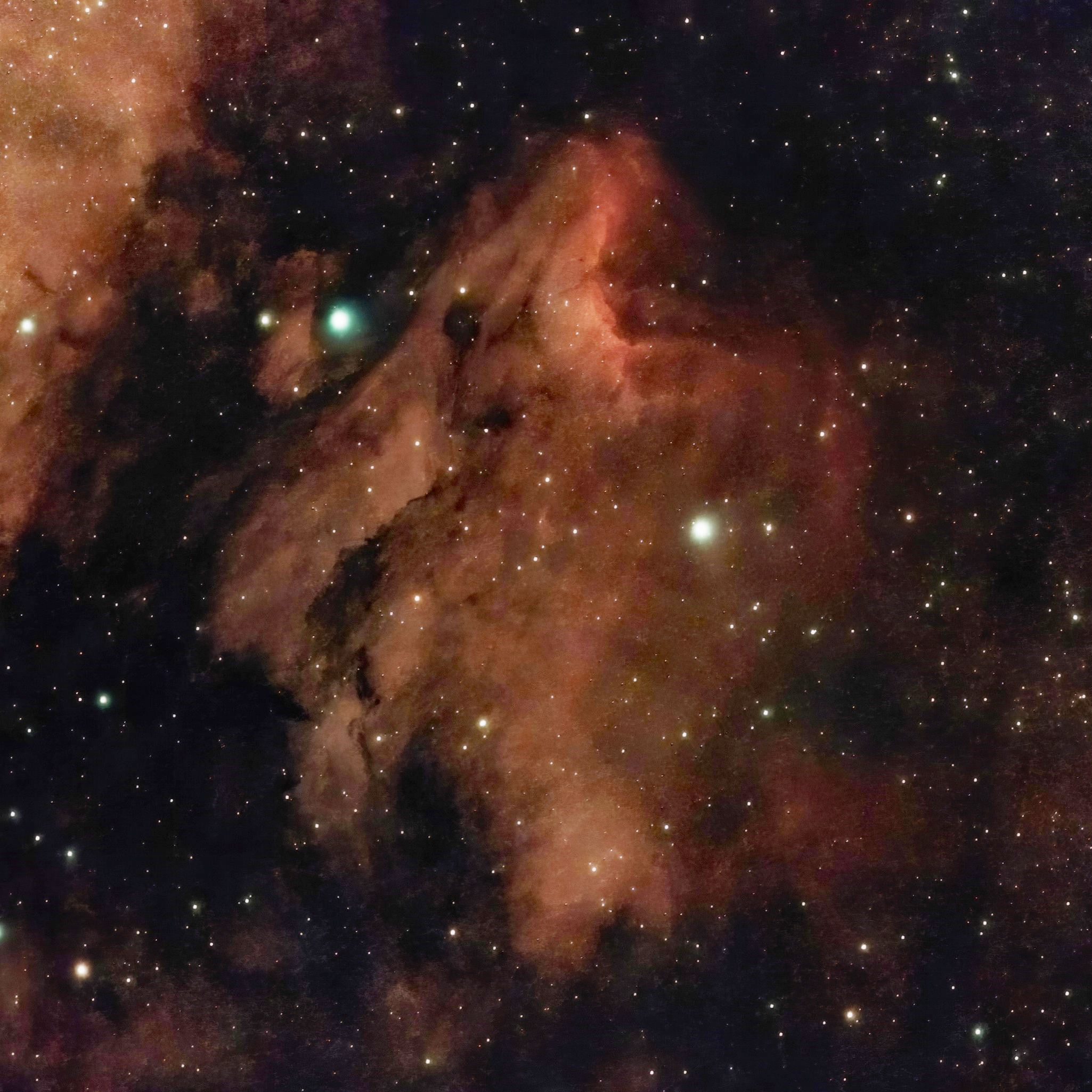 Pelican Nebula*